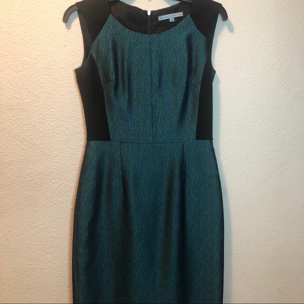 Antonio Melani Size 2 Dress